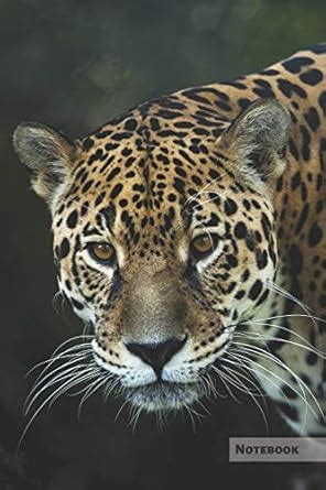 Jaguar Notebook: Unique Black Panther Jaguar Journal, Notebook for ...