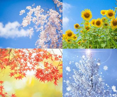 Image result for Internal CSS in HTML Notepad