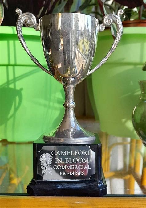 SYCAMORES CAMPING (Camelford) - Campground Reviews & Photos - Tripadvisor