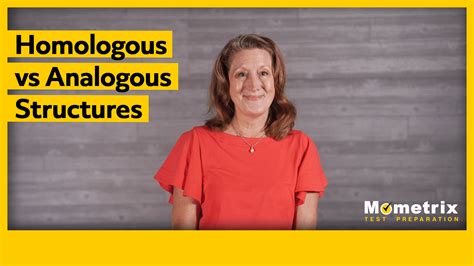 Homologous vs. Analogous Structures (Video)