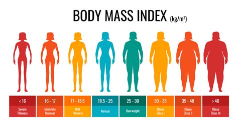 BMI値と体脂肪率による体型判断 – NOBODY:PLACE
