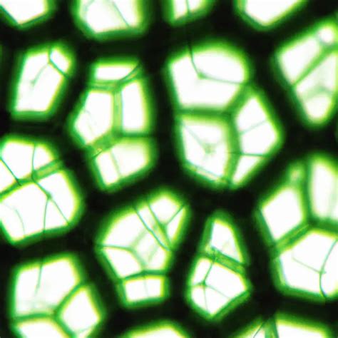 Example of a Biotechnology Process 的图像结果