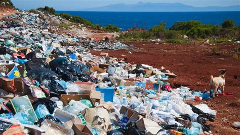 optical illusion the rat is hiding in this garbage heap | Optical ...