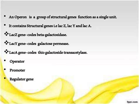 Image result for Positive Und Negative Regulation Lac Operon Chart