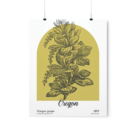Oregon State Flower Poster, Oregon Grape Wall Art, Holly Leaved ...