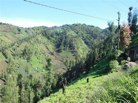 Well organised and good tour! - Reviews, Photos - Smartine Indonesia ...