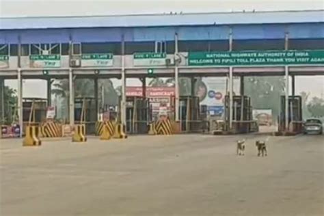BLANK FIRING AT PIPILI TOLLGATE - Finger Print News