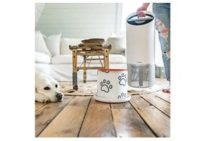 Air Purifier for Pets | TruSens