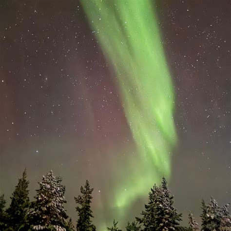 AURORA HUNTING PRO TACTICS (2025) All You Need to Know BEFORE You Go ...