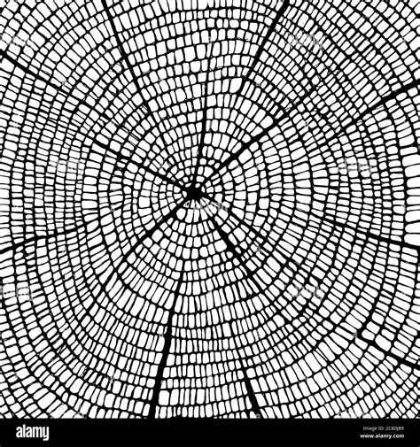 Image result for Tree Texture Drawing