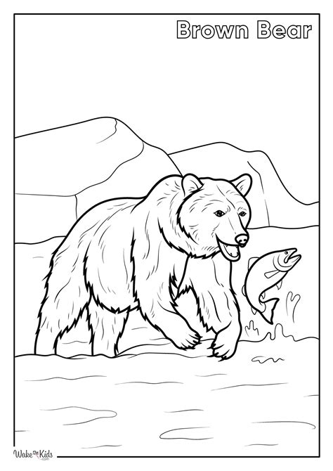 Brown Bear Coloring Pages (Free Printable PDFs) | WakeTheKids