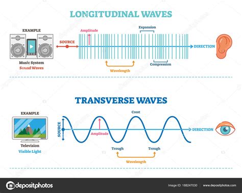 Longitudinal Wave Vs Transverse