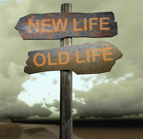 Image result for Two Parallel Lifelines