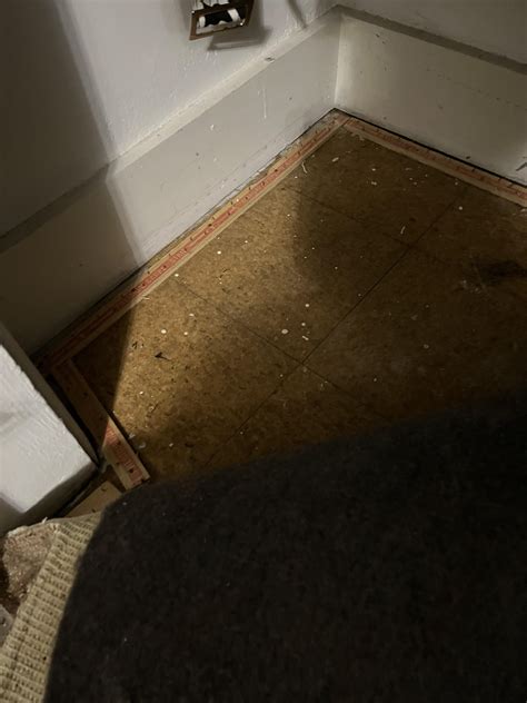 I’m replacing carpet with hardwood next month and pulled a corner of my ...