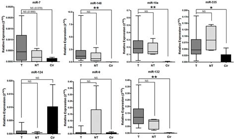 miR-124 as a Liquid Biopsy Prognostic Biomarker in Small Extracellular ...