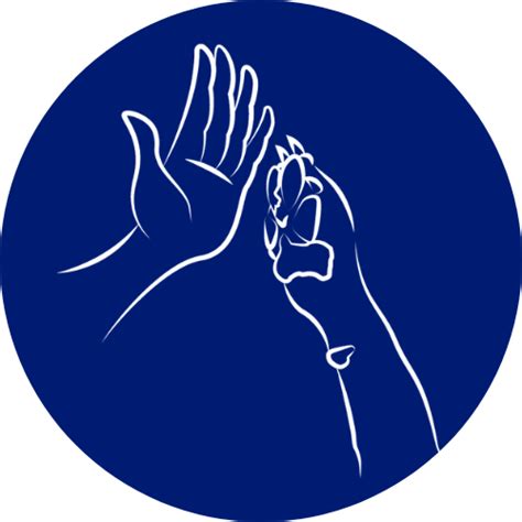 Buy Hip & Joint Care Supplement For Dogs – K9 Vitality