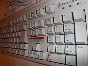 Amazon.in: Buy Packard Bell 5131C 101-keys PS/2 Keyboard - Has two legs ...