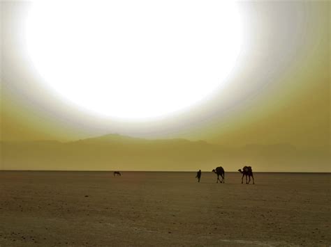 Retracing the First Human Migration » Explorersweb