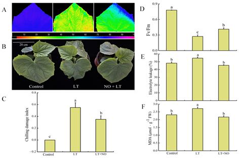 Unveiling Molecular Mechanisms of Nitric Oxide-Induced Low-Temperature ...