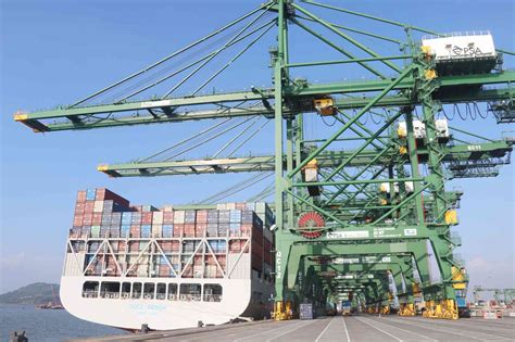 Exporters fret as Container freight rates remain high - VIS