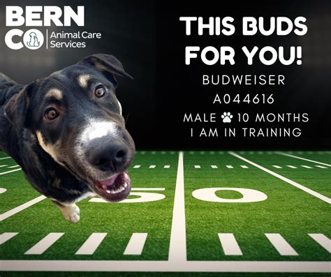 BernCo at a Glance| Jan. 17, 2024