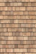 Image result for Shingle Siding Texture