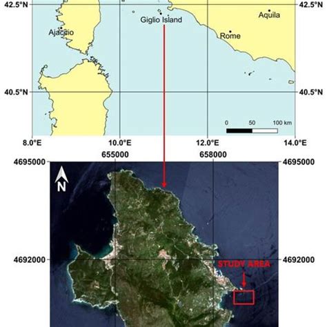 Image result for Equirectangular Projection Grid