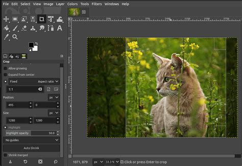Image result for Learning How to Use GIMP