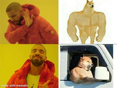 Muscular dog is real 😳🐶 : r/memes
