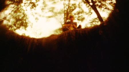 Pit Fall 1981 的图像结果