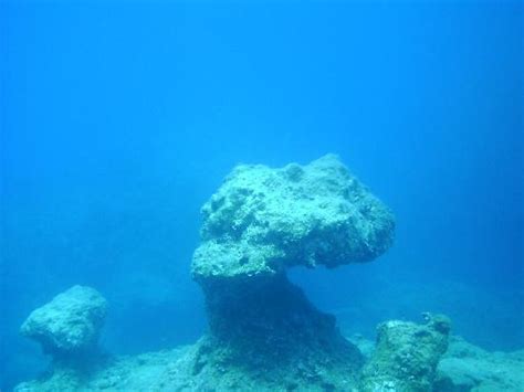 Elite Diving Centre (Fethiye) - 2021 What to Know Before You Go (with ...