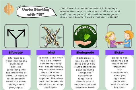 Full List Of Words That Start With Bi + Examples [2025] - Phoenix English