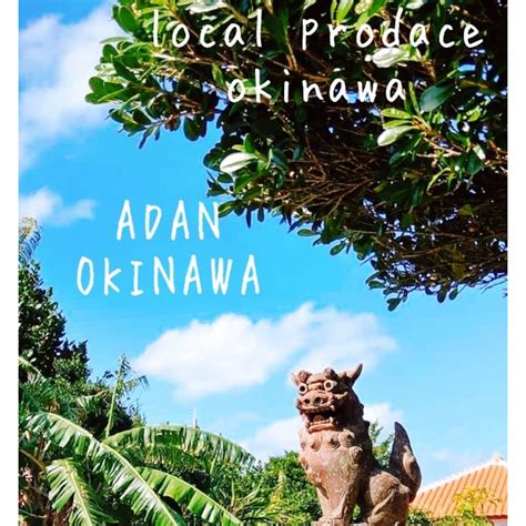 種無し シークワーサー | ADAN OKINAWA アダン沖縄 BASE店 沖縄熱帯フルーツ、島野菜、沖縄特産品販売 ちょっとお取り寄せ