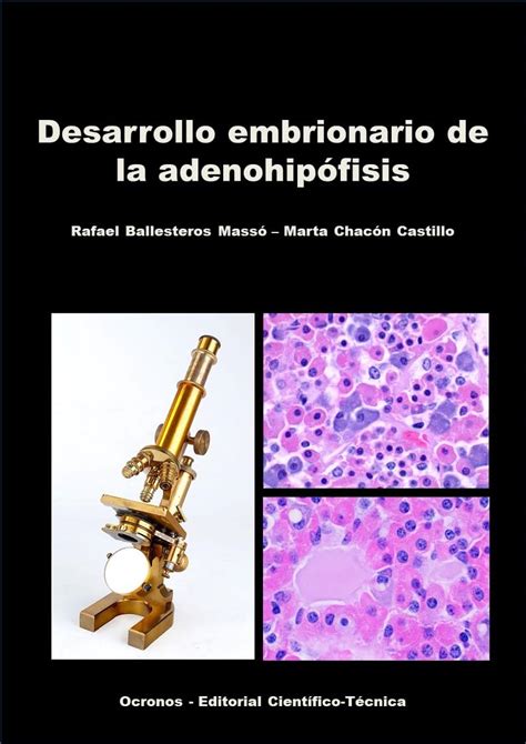 Desarrollo embrionario de la adenohipófisis (Spanish Edition) eBook ...