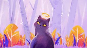 Cat wallpapers hd, desktop backgrounds, images and pictures