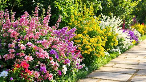 Top 10 Low-Maintenance Flowering Shrubs for Any Garden - Mossy Street