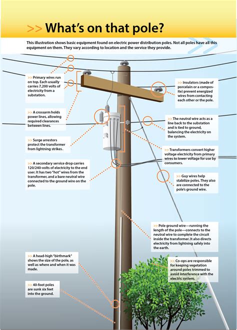 Electric Membership Cooperative - Pitt and Greene EMC