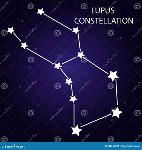 The Constellation of Lupus with Bright Stars. Vector Illustration ...