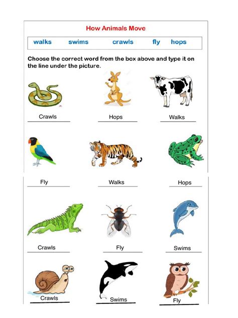 Animal Sports Worksheet 的图像结果