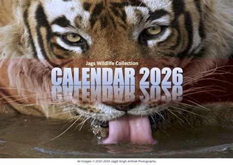 Jags Wildlife Collection 2026 Calendar, Premium Wildlife Photography ...