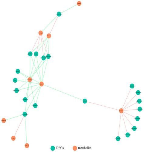 Flavonoid Biosynthesis Pathway May Indirectly Affect Outcrossing Rate ...