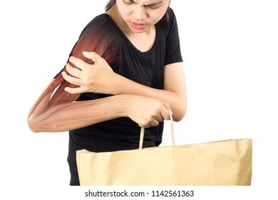 Splenius 的图像结果