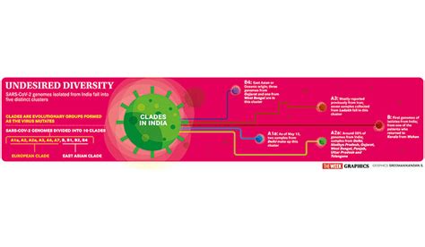 Network support- The Week