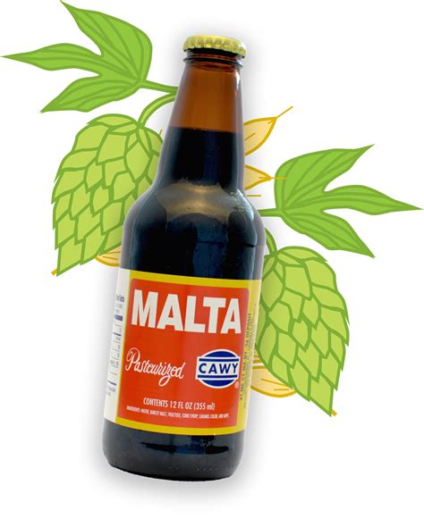 What Is Malta Beer _ What Is Malt Beer - SKRW