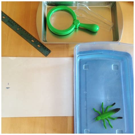 Image result for What Science Involves