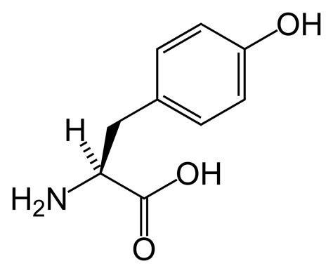 Aromatic amino acids - wikidoc
