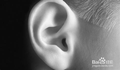 我们是怎么样能够听见声音的，耳朵是怎样收集声音（声音的来源）_探秘志