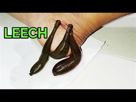 AMBIL SEKARANG
