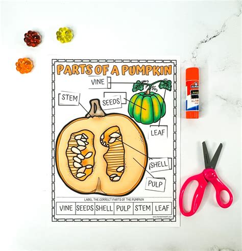 Parts of a Pumpkin Worksheet (Free Coloring Page)