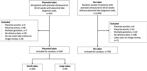 Presence and Size of Placental Lakes on 20-Week Fetal Anatomy Ultrasound and Obstetrical ...